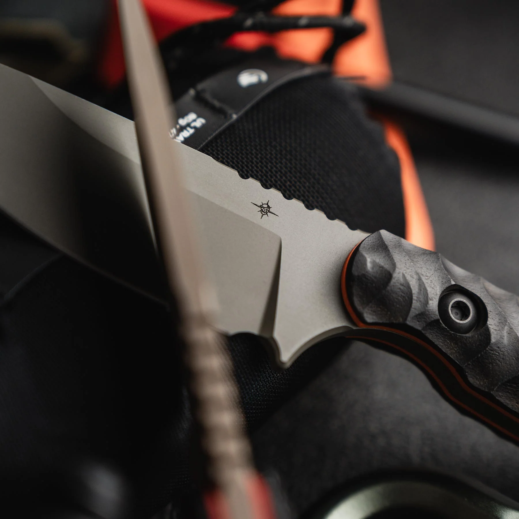 Field 3.0 - Image 15