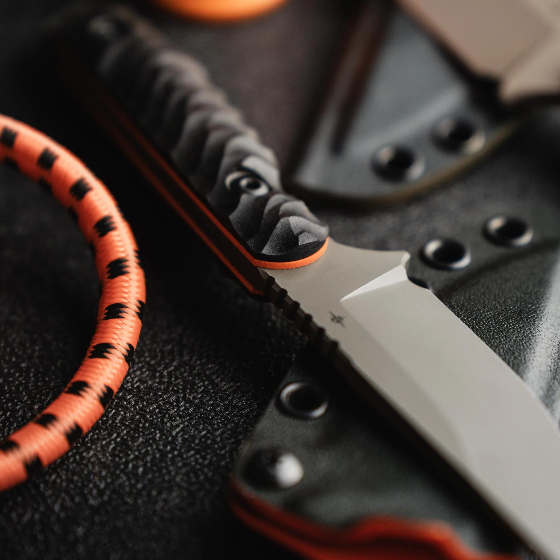 Field 3.0 - Image 19